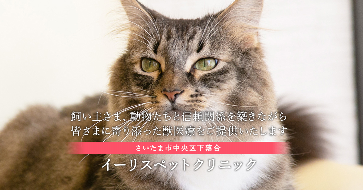 イーリスペットクリニックの外観